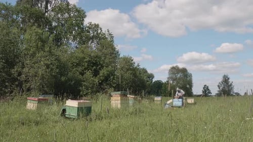 Beekeeper in costume in the field checks bee hive