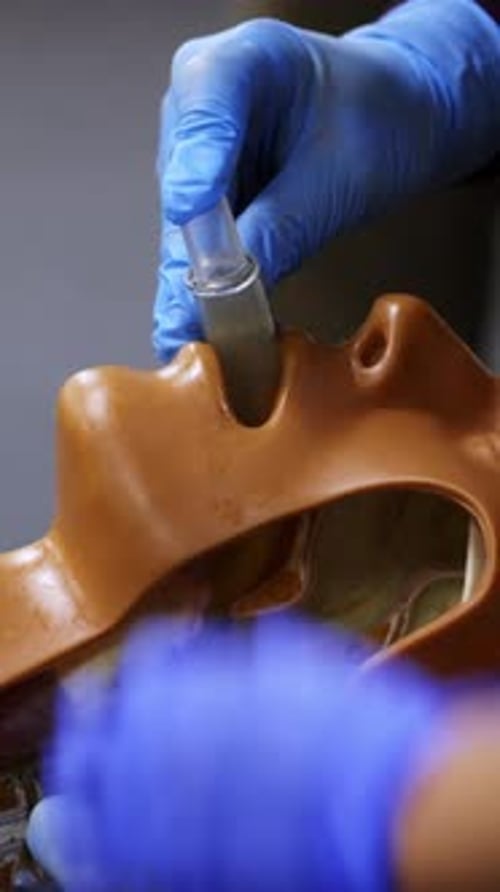Intubation Demonstrated on Anatomical Model in Hospital Setting