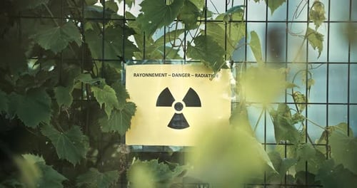 Plant Vegetation Covering Nuclear Radiation Danger Sign on Overgrown Fence with Contaminated Airborn
