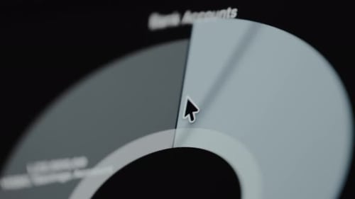 Financial Data Pie Chart Displayed on Computer Screen
