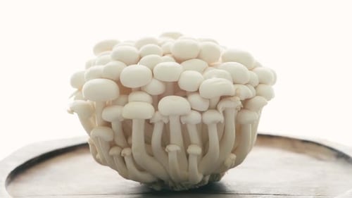 Champiñones blancos Shimeji