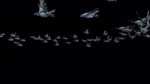 Flying Swarm of Stylized Geometric Birds Animation