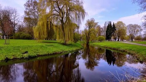 Willow Tree With Mirrored Reflections On Lake Water At Victory Park In Riga, Latvia During Spring. d