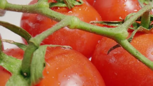 Close Up of Fresh Red Vine Tomatoes