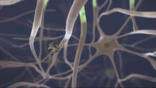 3D Animation of Neuron Firing and Synaptic Transmission