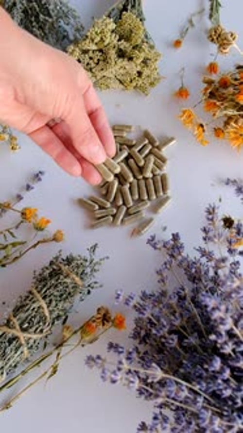 Dried Medicinal Herbs and Flowers Selective Focus