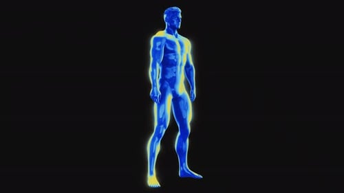 3D Human Anatomy Exercise Visualization