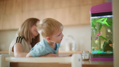 Young Child and Woman Looking at Fish Tank