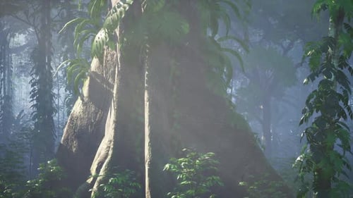 Majestic Tree Stands Tall Among Forest Greenery