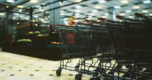 Grocery Carts Lined Up in a Supermarket Ready for Shopping
