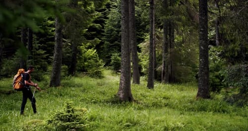 Man Hiking with Backpack Through a Forest