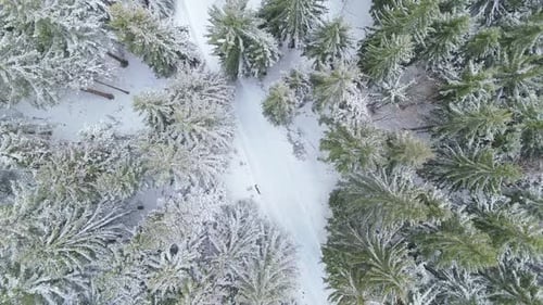 Vue aérienne par drone d'une route recouverte de neige gelée avec des arbres dans la forêt en hiver