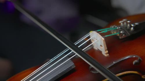 Close Up of Violin Playing Musical Piece