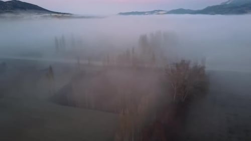 Foggy And Misty Weather