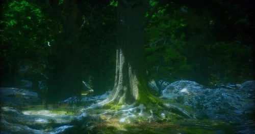 Majestic Ancient Tree Surrounded By Lush Greenery in a Serene Forest