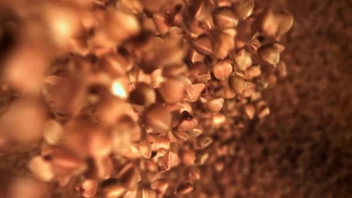 Buckwheat Falls Down Filmed From Above Filmed on a Highspeed Camera at 1000 Fps