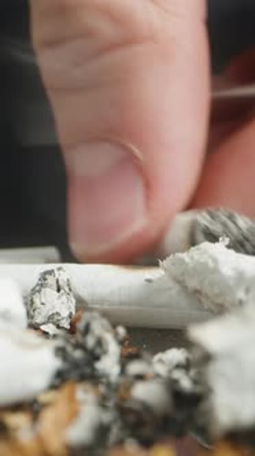 cigarettes effects on lungs Effects of Smoking on the Respiratory System cigarettes effects on lungs Effects of Smoking on the Respiratory System