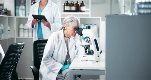 Microscopio, ciencia y tecnología con mujeres en el laboratorio para lograr un gran avance