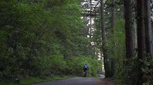 Mann fährt Fahrrad auf ruhiger Straße in der Mitte eines Waldes in Washinton, USA - Weitwinkelaufnahme
