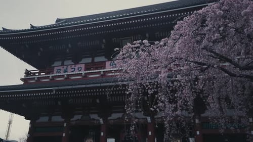 The Main Hall Of Sensoji Temple, Buddhist Temple In Asakusa, Tokyo, Japan. Low Angle Shot