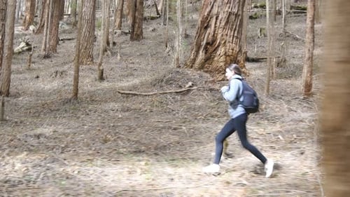 Young Woman Tourist with Backpack Running in the Forest Female Backpacker Jogging Through the Wood