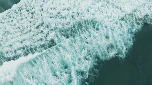 Aerial view of surfers in ocean waves, United States.
