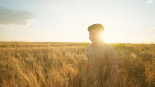 Happy Boy Running Through Golden Wheat Field