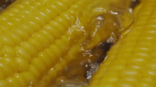 Fresh Corn on the Cob Boiling in Water