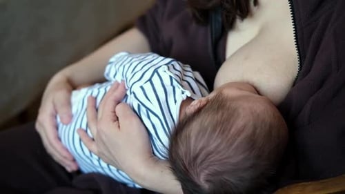 Woman Breastfeeding Newborn Infant Indoors
