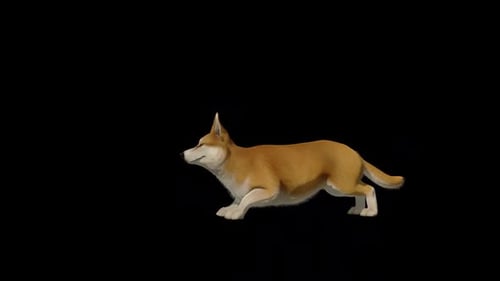 Animated Corgi Dog Sniffing and Tracking