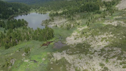 Vista aérea de los lagos Karakol en las montañas de Altai con bosque y costa