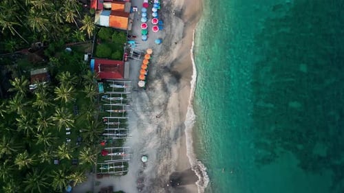 Overhead Drone View of Palm Covered Tropical Beach with Traditional Boats and Clear Ocean Water