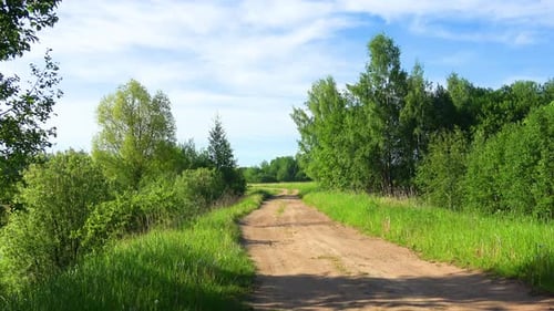 Nature Of Lake Misnitsko 32