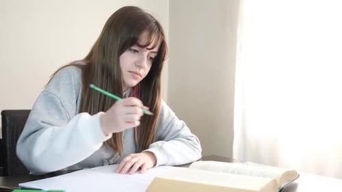 Schüler macht Hausaufgaben