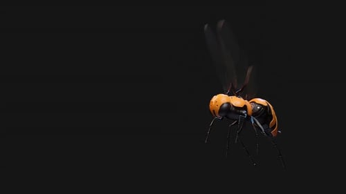 Futuristic 3D Robotic Insect Flying Loop Animation