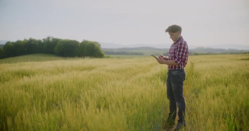 Farmer Examining Crops Wheat Field Agriculture Harvesting