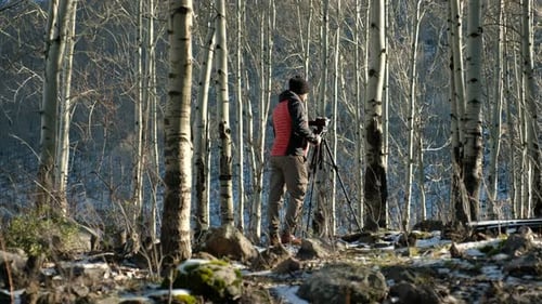 Nature Photographer Shooting in the Forest in Winter