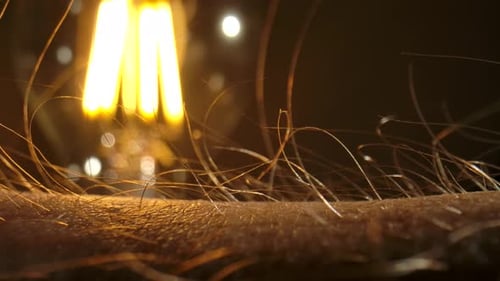A Macro Shot of Hair on a Person Arm Standing on End Against a Dark Background with a Brightly Lit