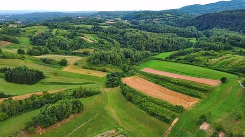 Valley with Fields Meadows Agricultural Farms Forests and Houses