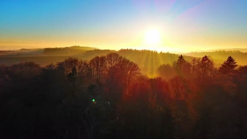 Silhouettes of Coniferous Trees in a Forest in Hilly Valley Against the Background of a Bright Sun