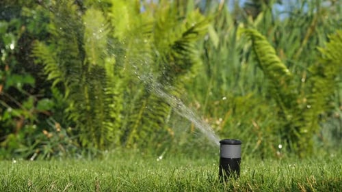 Automatic Lawn Sprinkler in Action Watering Green Grass in Summer on the Lawn