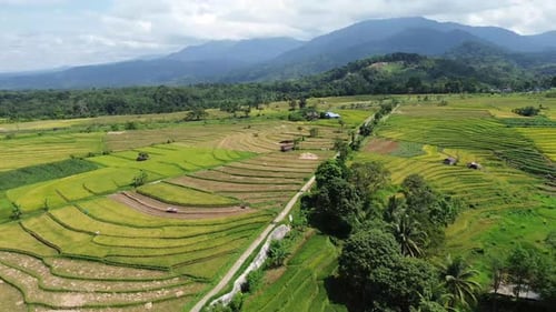 Beautiful morning view indonesia Panorama Landscape paddy fields with beauty color and sky natural