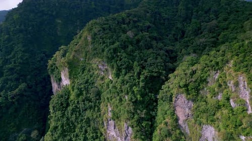 Aerial View on Forest Nature and Green Wood Trees in Fog Landscape of Mountains