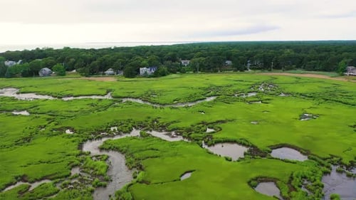 Aerial View of Green Marshes and Tidal Streams