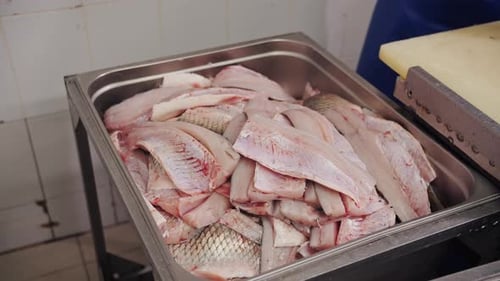 Close Up of Fish Being Sorted in Workplace