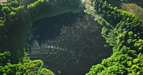 Foggy lake and forest in autumn at sunrise.