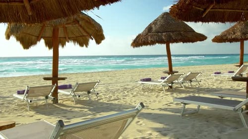 Beach Chairs under Tropical Sun