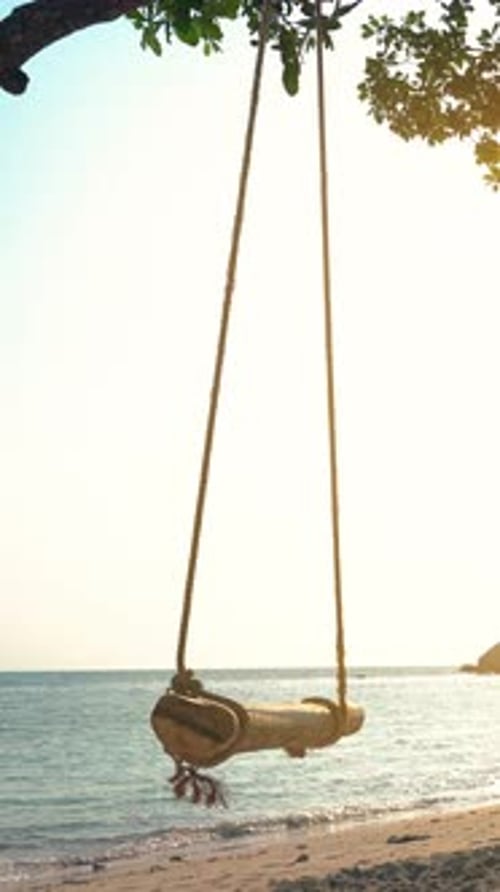Swinging gently by the seaside at sunset. Vertical video