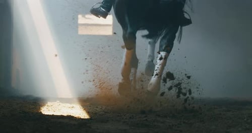 Cinematic slow motion close up of young male horsemanship master dressed in a professional apparel