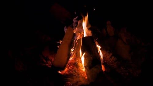 Cam Fire